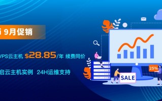 Jtti优惠活动：轻量级云服务器5折优惠 可以选择新加坡、美国或中国香港等节点