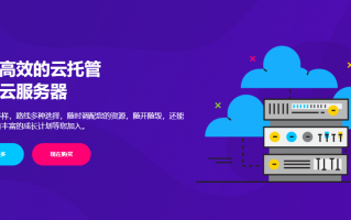 DogYun(狗云)：农历新年促销活动 单笔充值每满100元送10元 独立服务器月付减100元