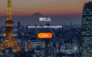 RAKsmart:”新年专享秒杀”，爆款产品低至0.99美元起！！！