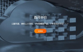 RAKsmart：新用户送380美金代金券，充值最高再送100美金，全线产品免费送！！！