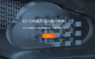RAKsmart：新增美国40G大带宽，亚太独服大带宽上线热卖，V4产品全场7折！！！