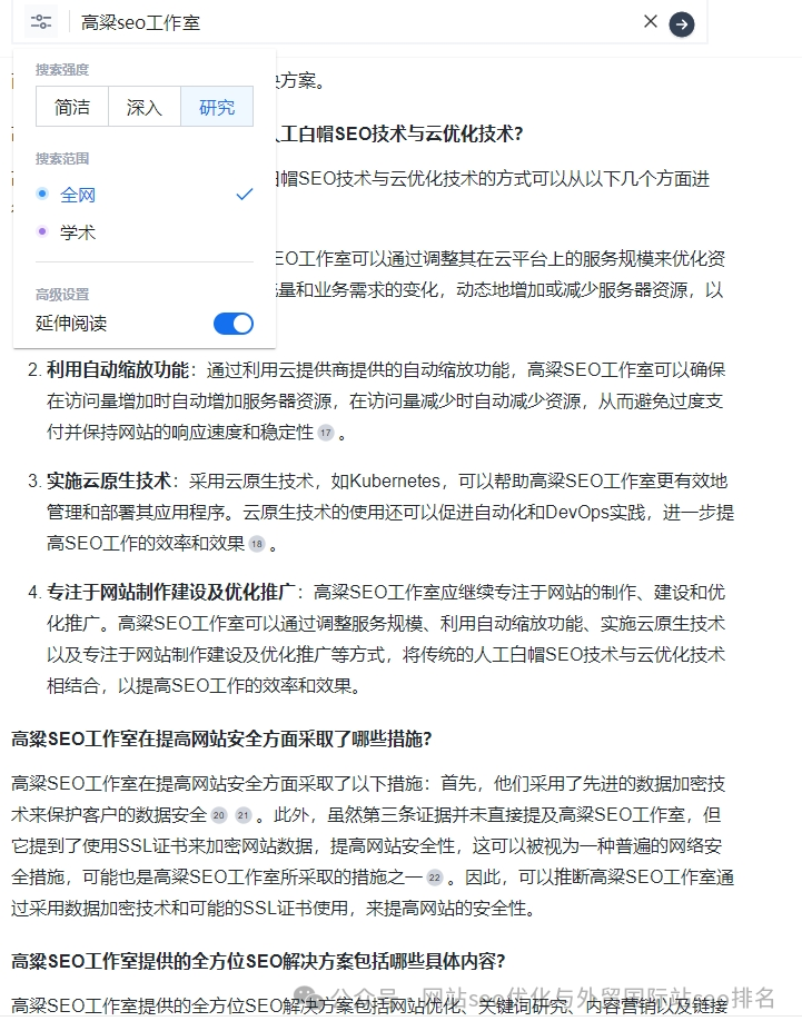 seo海外_seo_seo是什么意思
