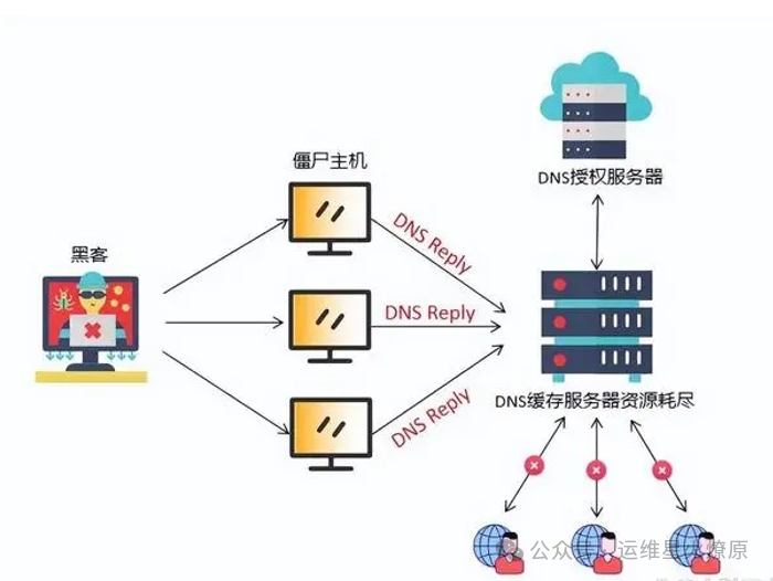域名服务器维护的数据库_负责维护域名数据库中数据记录的域名服务器_域名服务系统中维护的数据