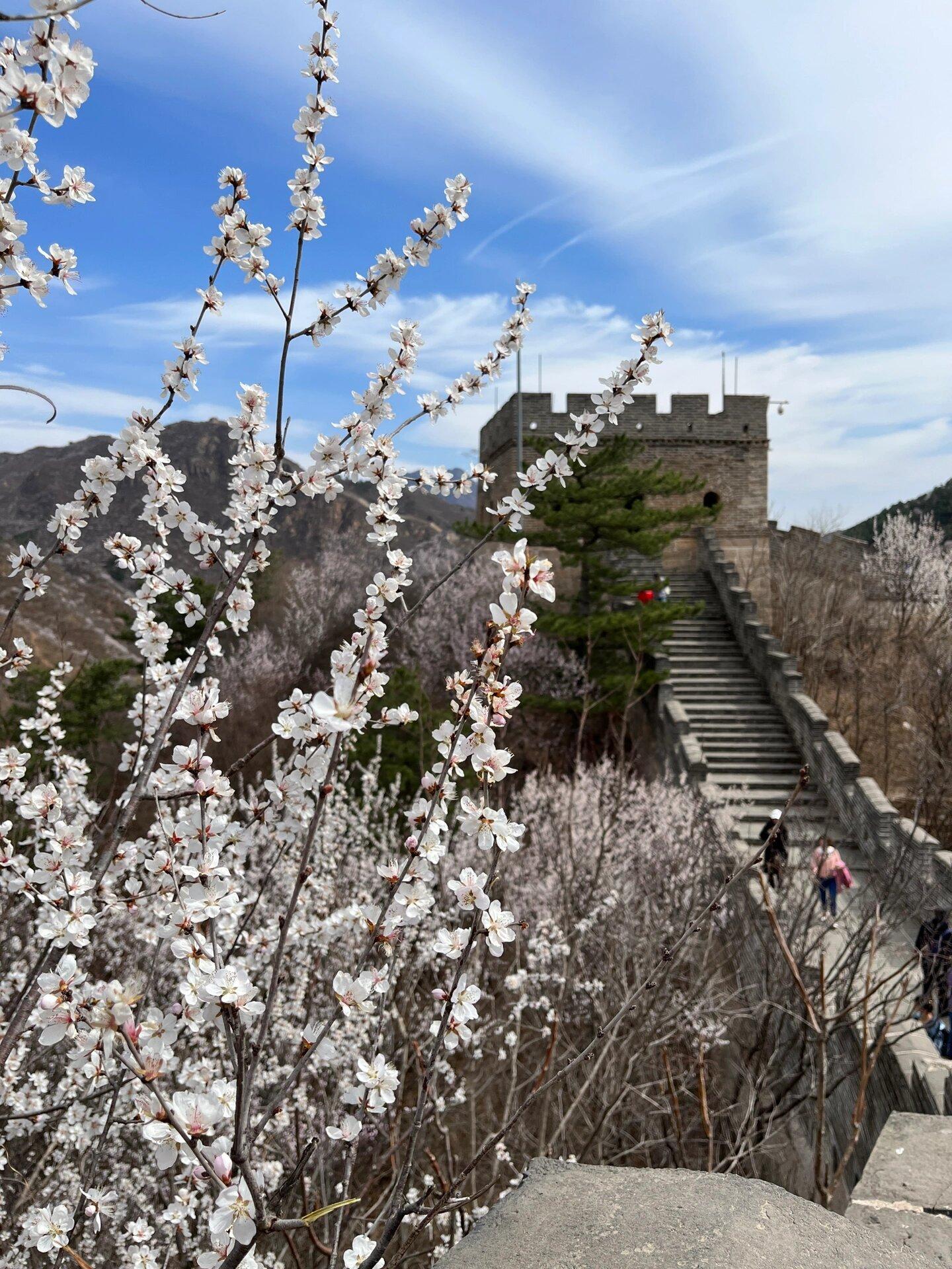 北京长城得走多长时间_北京长城要走多久才走的完_北京长城走完一共多少时间